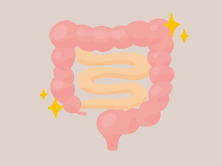 건강한-소화기관