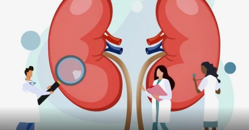 [신장건강] 신장수치, 크레아티닌 수치가 높으면, 낮으면, 신장 안좋으면 신장이상 증상, 신장에 좋은 음식