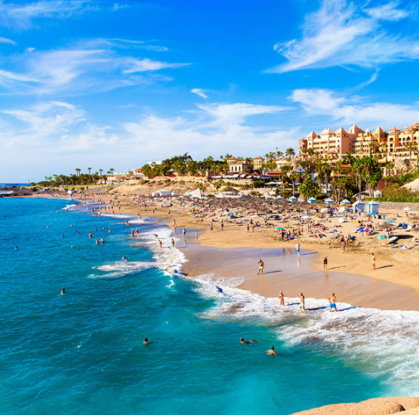 테네리페 남부: 50분 잠수함 다이빙 예약하러 가기