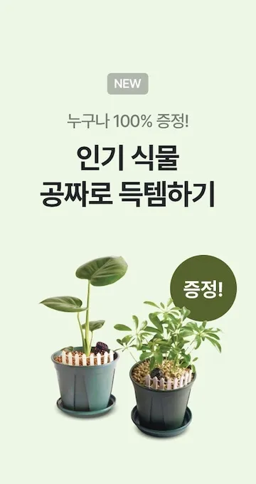 오늘의집 살펴보기 9