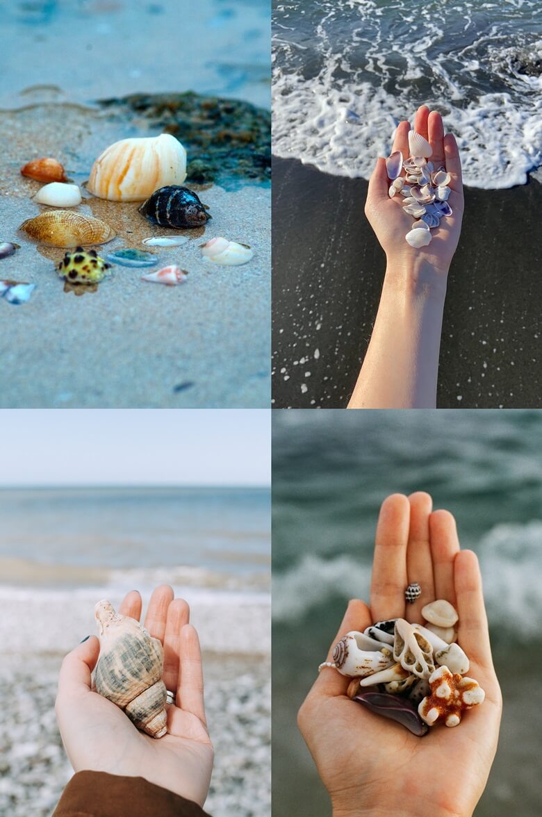 상단 좌측부터 바닷가 모래 해변위에 옅은 바닷물이 올라와있고 그 모래위에 조개, 소라등 작은 크기의 껍데기가 여러가 모여서 놓여있는 모습과 해변가에서 왼손바닥위에 조그만 하얀색 조개 껍데기를 수십개 올려놓은 모습이며 하단좌측부터 왼손바닥위에 손바닥 절반크기위 소라껍데기를 한개 올려놓은 모습과 왼손바닥위에 조그마한 고동, 조개 껍데기를 올려놓은 모습