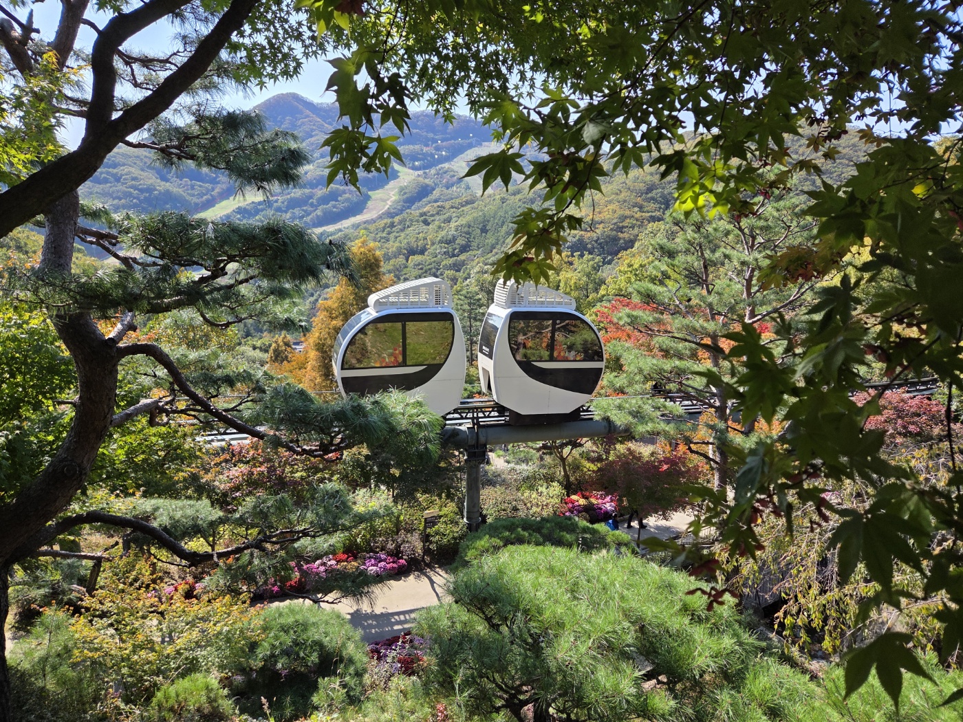 가을 단풍 속을 달리는 화담숲 모노레일 전경