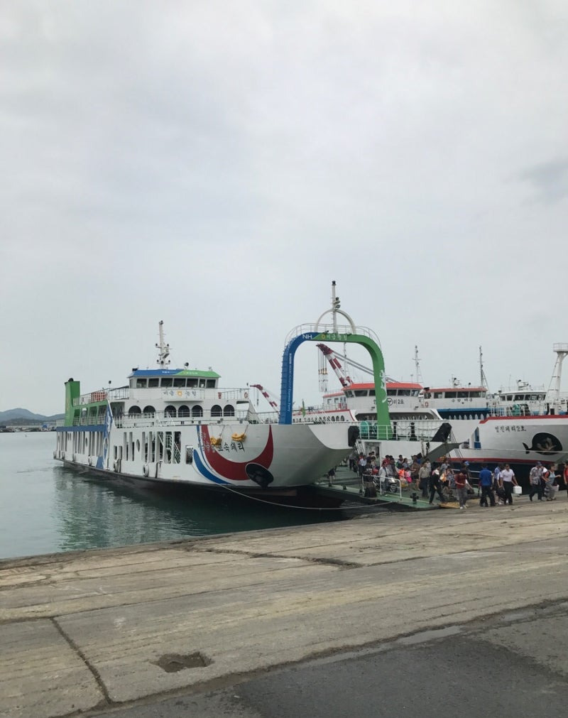 비금도 배편 예약