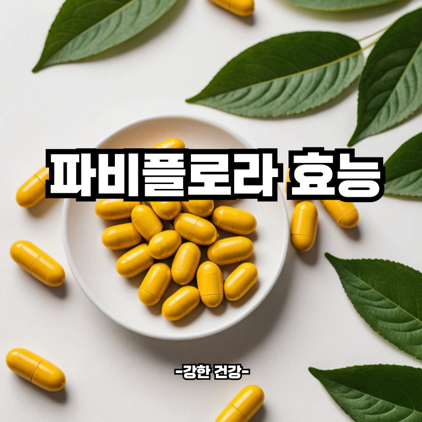 파비플로라 효능