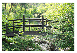 속리산 말티재 자연휴양림 산책로 관련 사진