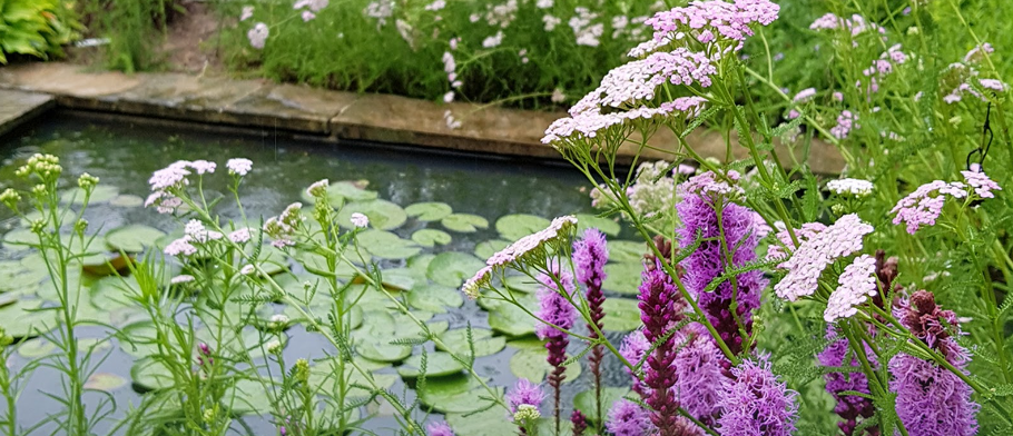 평강랜드 평강식물원