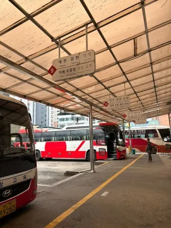 거창시외버스터미널 시간표 예매 조회 실시간 정리_22