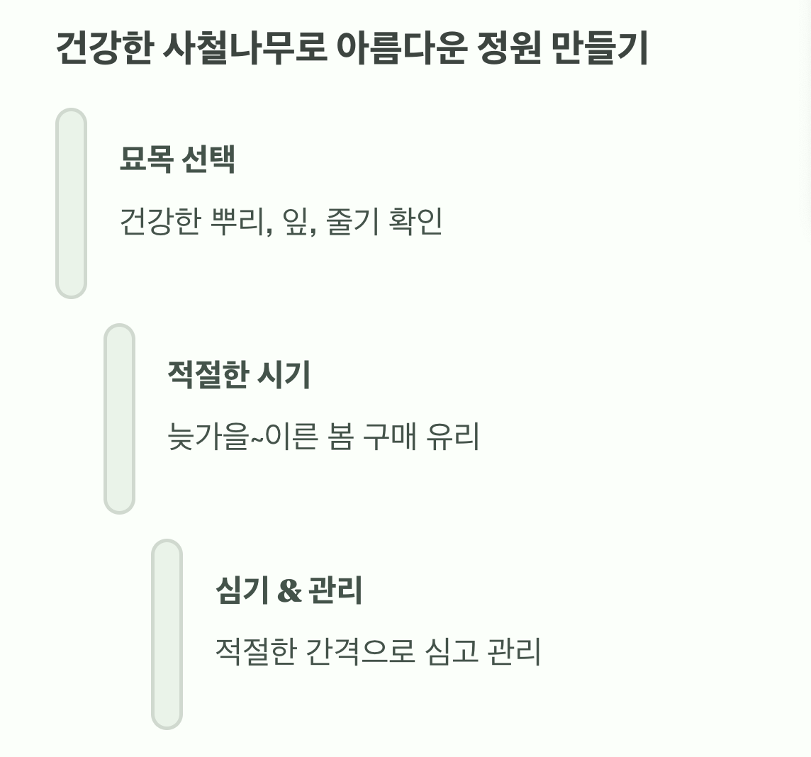 건강한 사철나무로 아름다운 정원 만들기