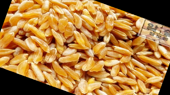 카무트 쌀 가루 효능