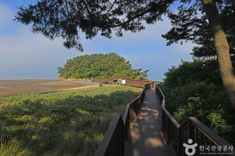 홍성 가볼만한곳 베스트 10
