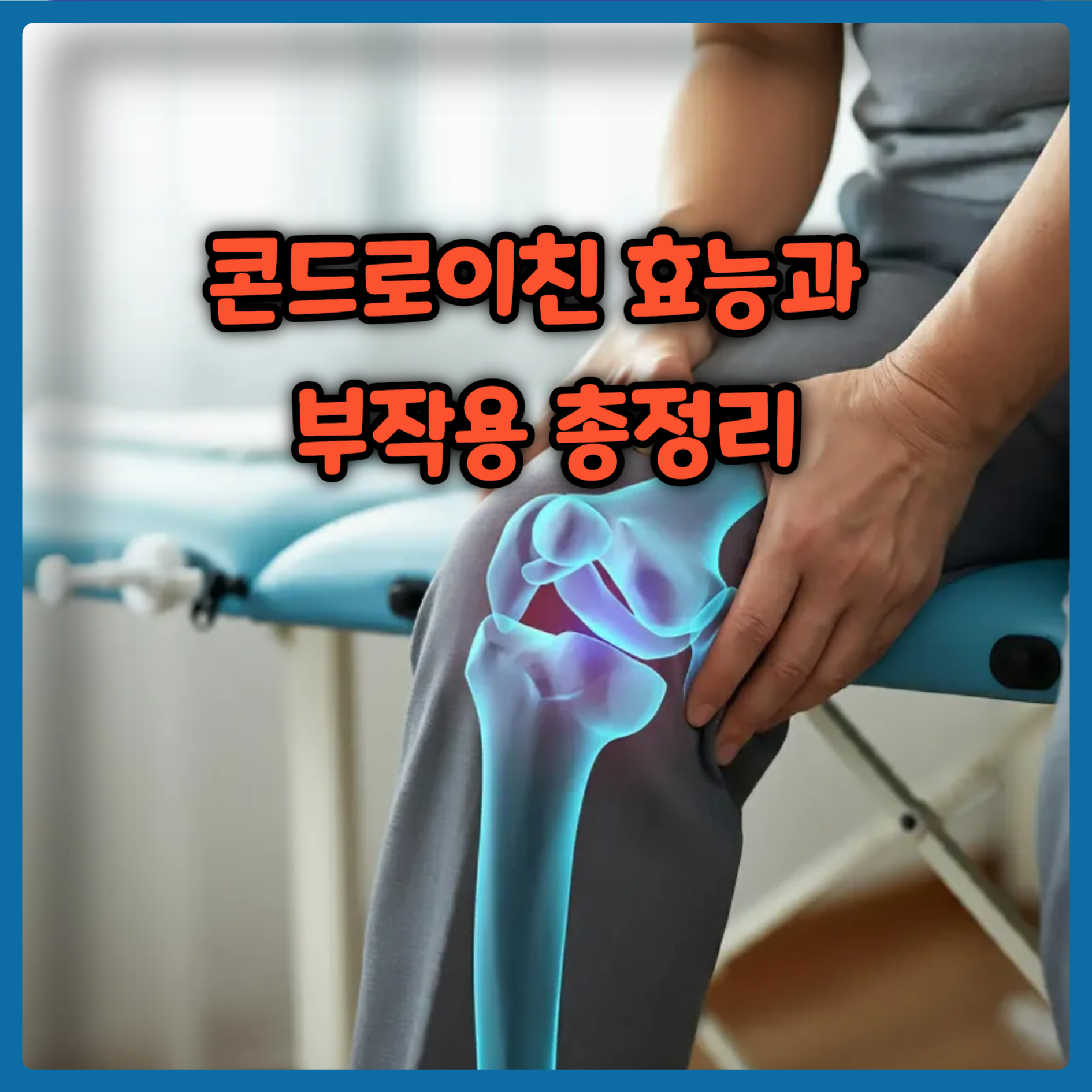 콘드로이친 효능과 부작용 총정리