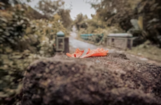 49재 계산 49재 지내는 방법 상차리는 법