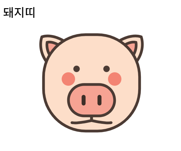 돼지띠