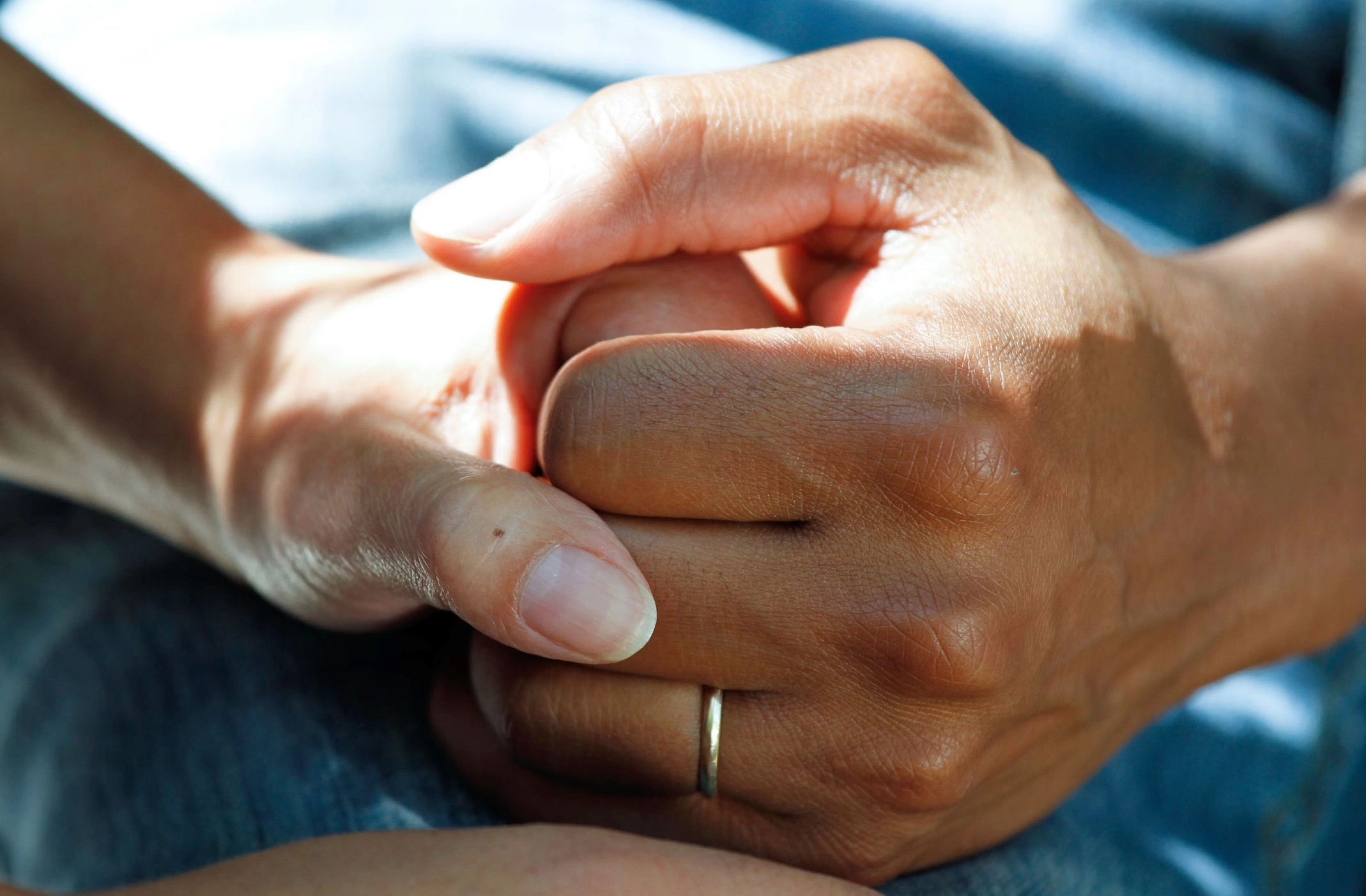 렙토스피라증 원인