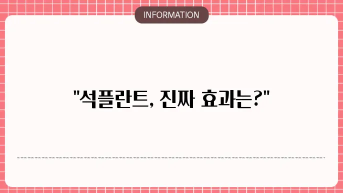 석플란트 임플란트 시술 과정