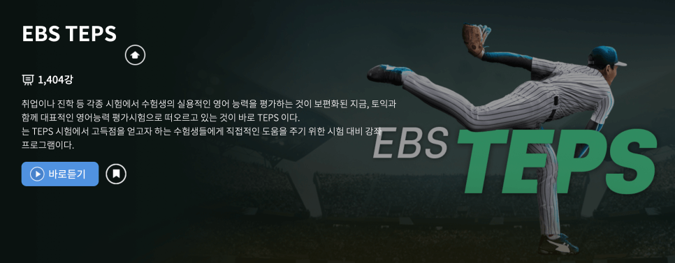 텝스-강의-설명