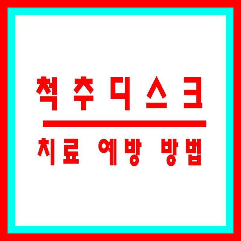 척추디스크