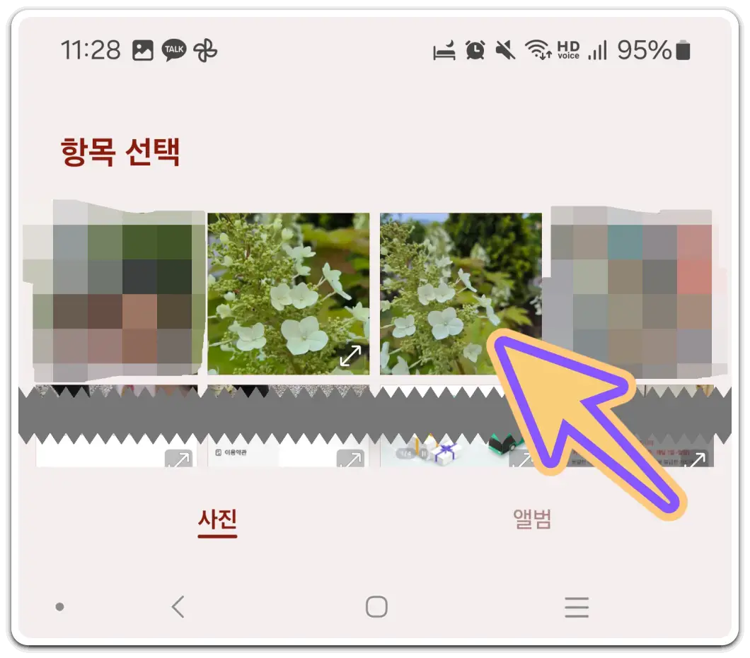 꽃-나무-이름-찾기-검색-방법