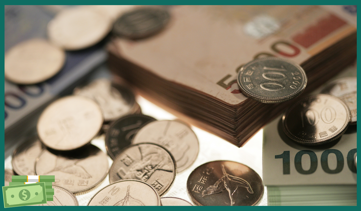 국민지원금 25만원