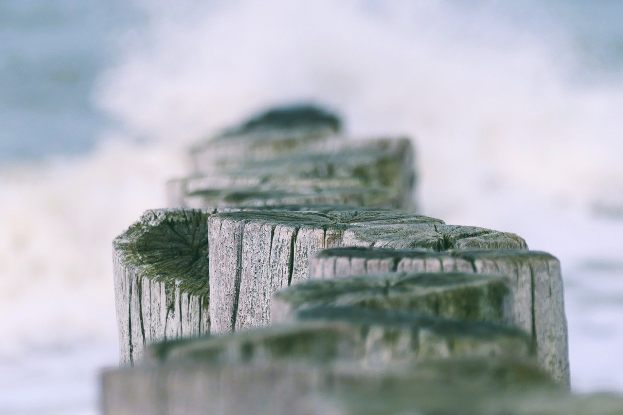 올해의사자성어