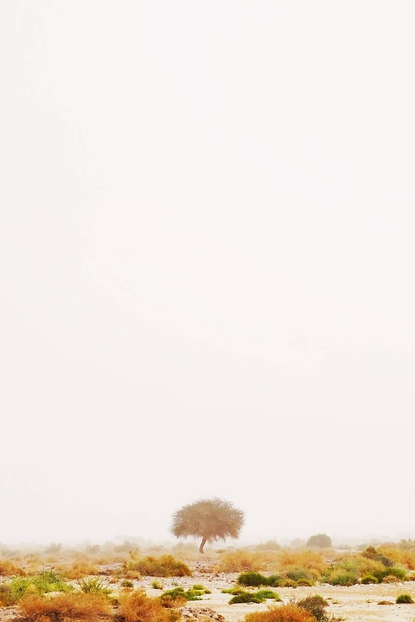 디즈니플러스 싸게 보는 법