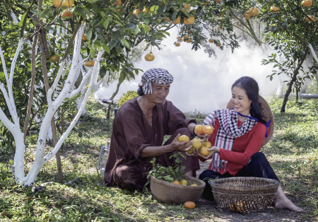 도시 속 작은 과수원 집에서 쉽게 키우는 과일 가이드