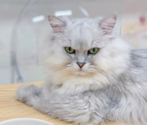 하남 미사 놀거리 BEST 10