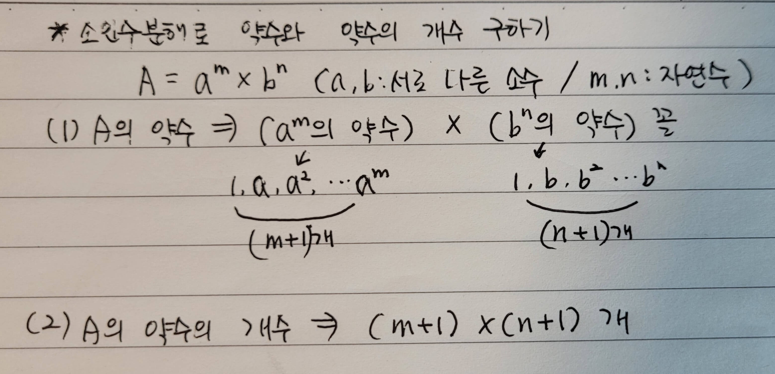 소인수분해로 약수 개수 구하기