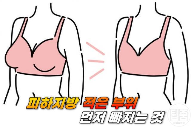 특정 부위 살빼기 가슴 얼굴 먼저