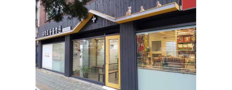 서울 종로구 동물병원