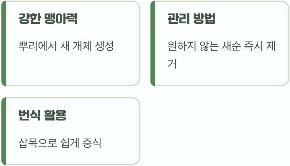 번식, 좋을까 나쁠까?