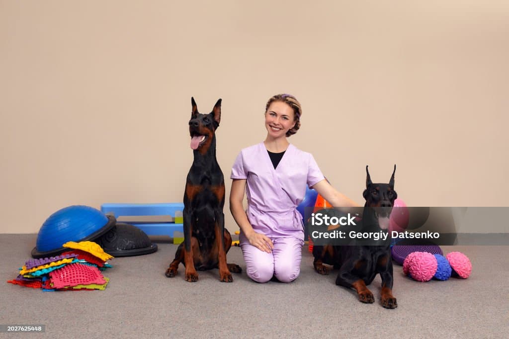 펫 테라피스트 자격증
감정 케어 스킬을 높여주는 자격증