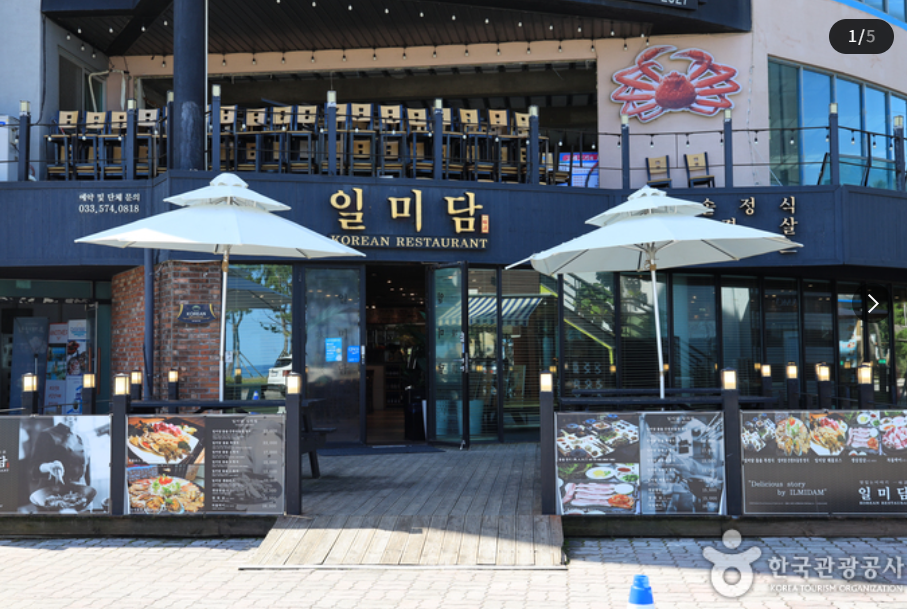 삼척 장미축제