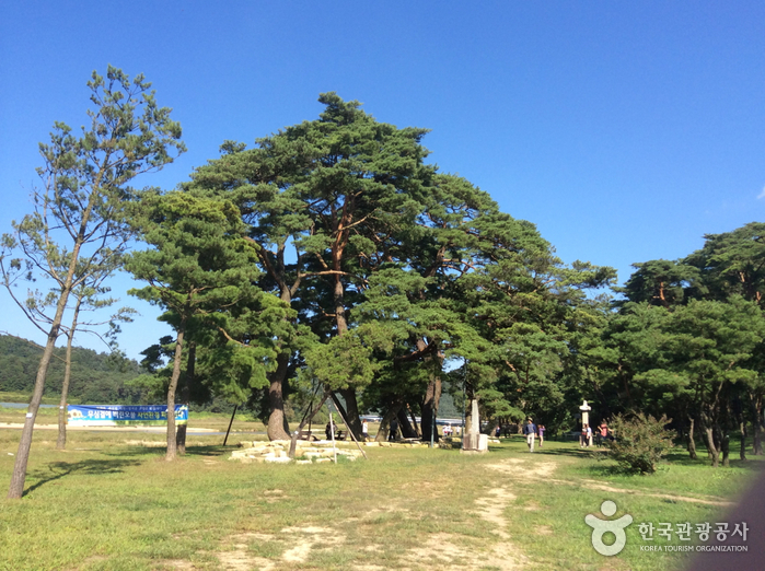 예천 가볼만한곳 베스트10