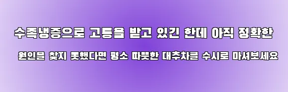  수족냉증으로 고통을 받고 있긴 한데 아직 정확한 원인을 찾지 못했다면 평소 따뜻한 대추차를 수시로 마셔보세요