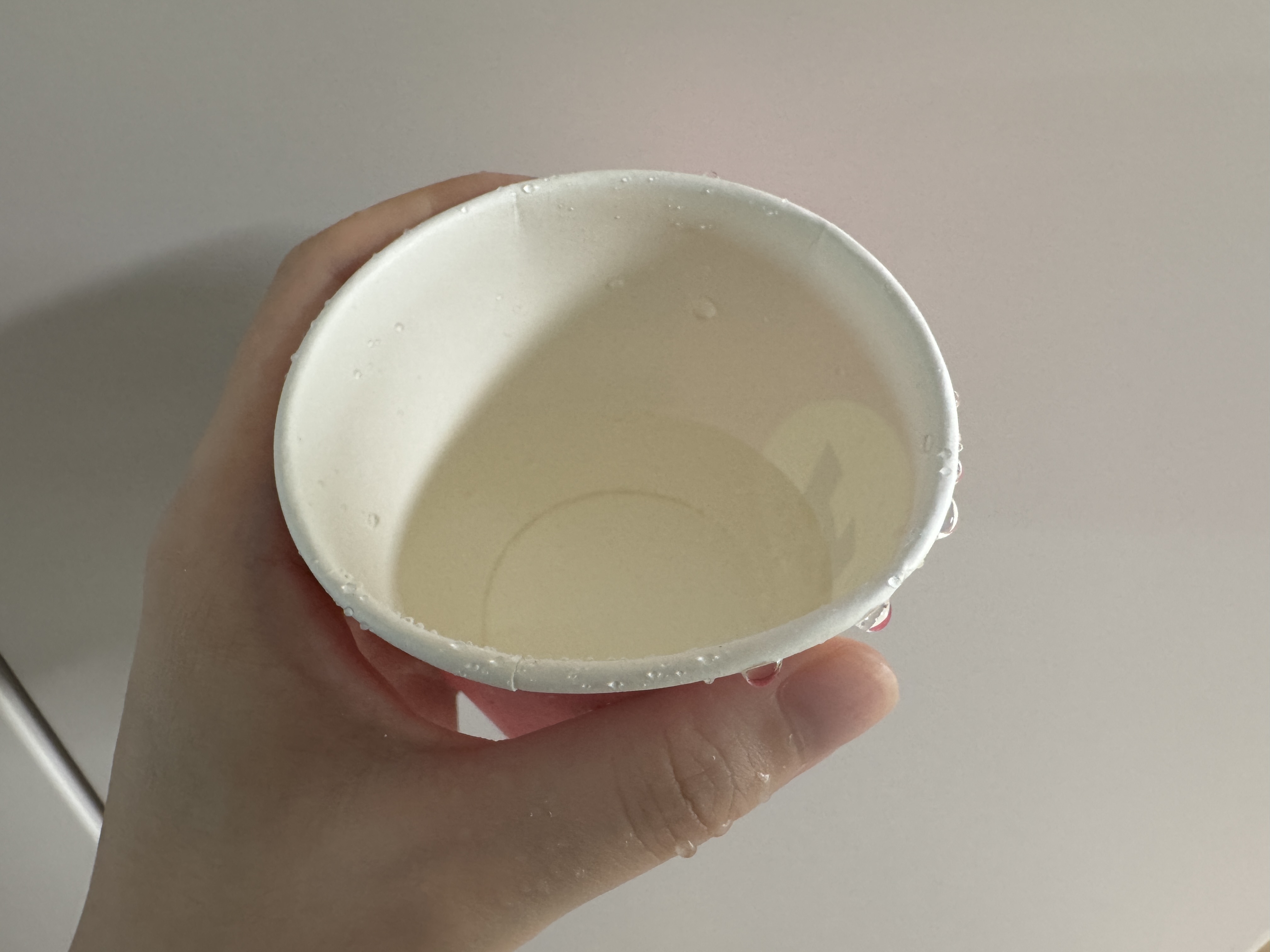 종이컵 재사용해도 괜찮을까? 생각보다 많은 사람들이 궁금해하는 이야기