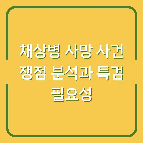 채상병 사망 사건 쟁점 분석과 특검 필요성