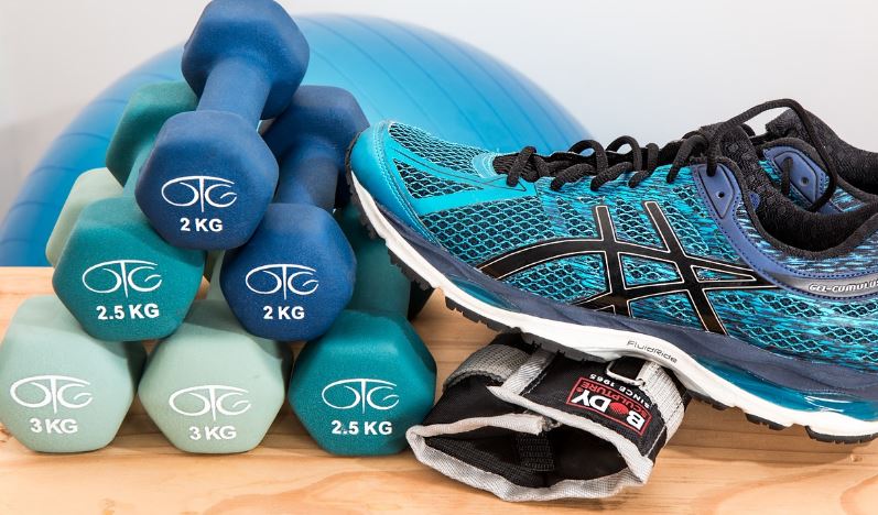 시서스효능부작용복용방법