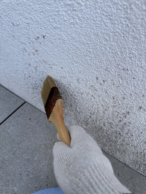 붓으로 벽멱에 약을 바르는 중