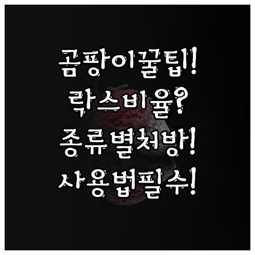 곰팡이 종류별 락스 희석 비율과 사용..