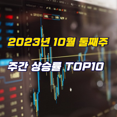2023년 10월 둘째주&#44; 주간 상승률 TOP15