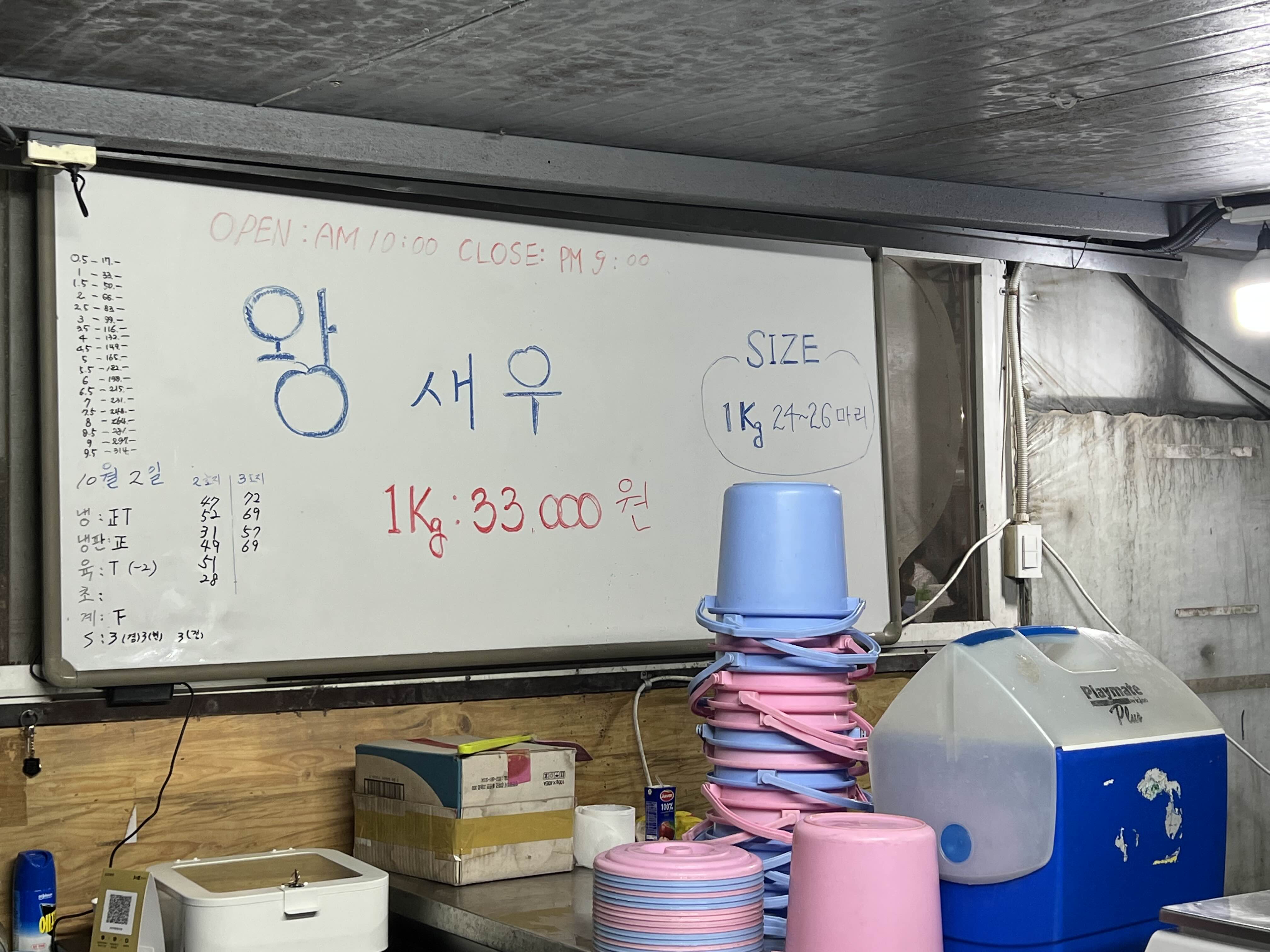 약암양식장 2022 새우 가격 왕새우 1kg 얼마