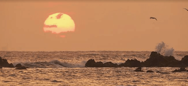 야경맛섬 명선도(아바타섬) 위치, 야경시간, 주차, 대중교통이용!
