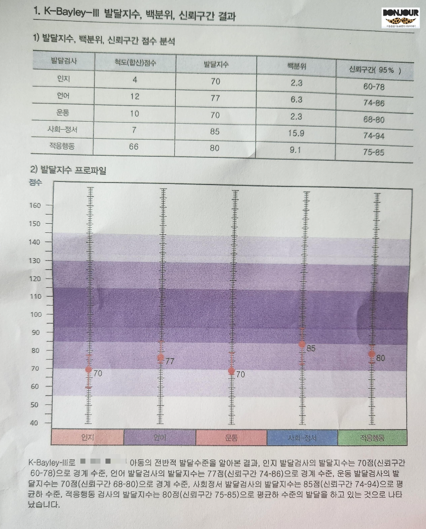 인지 언어 운동 영역 발달지수 70점대 경계선 판정 그래프
