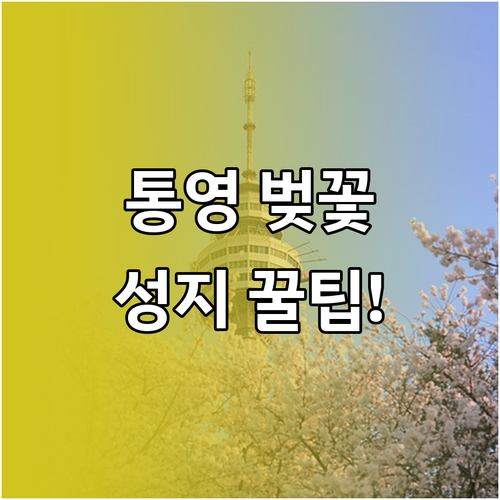 2026년 통영 벚꽃 만개 시기 및 ..