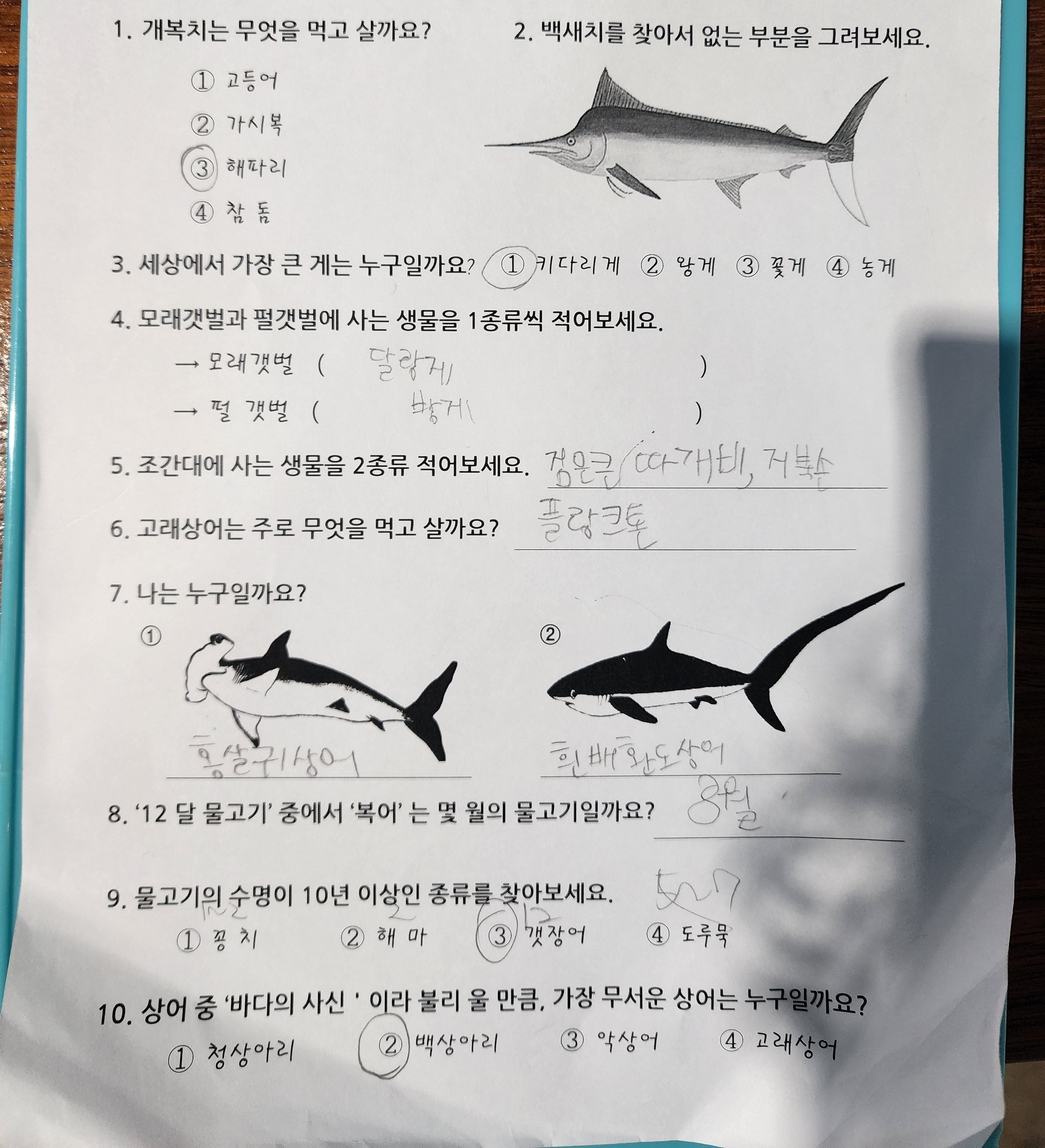 아이와 제주도 여행