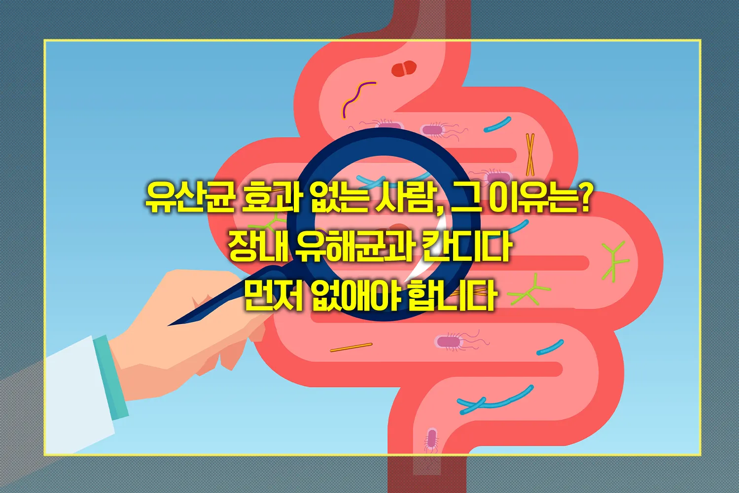 유산균-효과-없는-이유-해결법