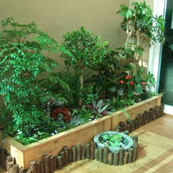 실내정원 꾸미기 화분선택 배치요령 물주기 통풍 어르신도 쉬운 동선_3