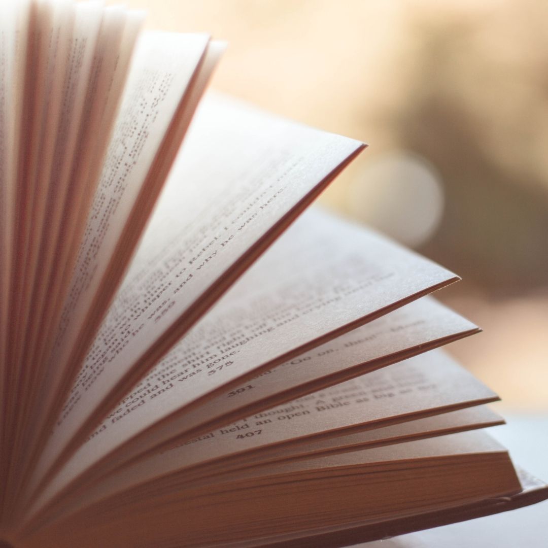 공인중개사 시험일정, 시험과목, 합격률, 전망