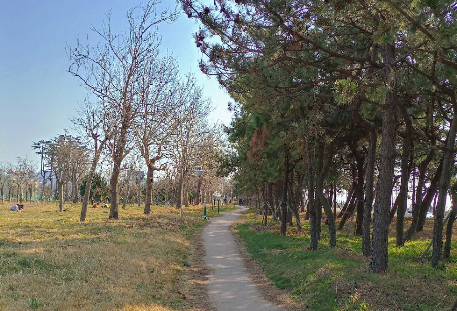 사하구 강변환경공원 파크골프장. 부산광역시 사하구 을숙도대로 466 (강변환경공원 내)